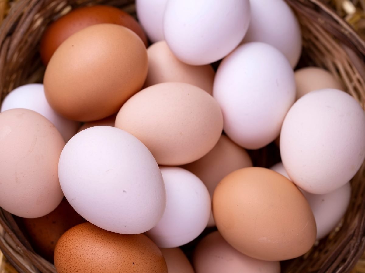 About a dozen or so eggs in a dry-straw basket.