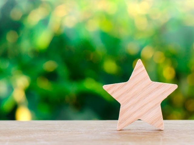 One wooden star, representing poor customer service.  