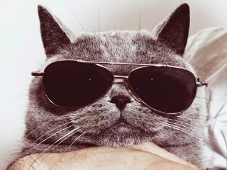 Gartner Names 5 Vendors That Make CRM Cool