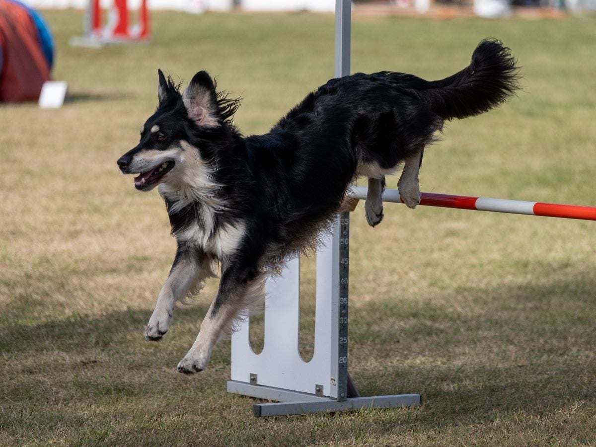 Stable Teams, Flexible Capacity: A Smarter Model for Marketing Agility