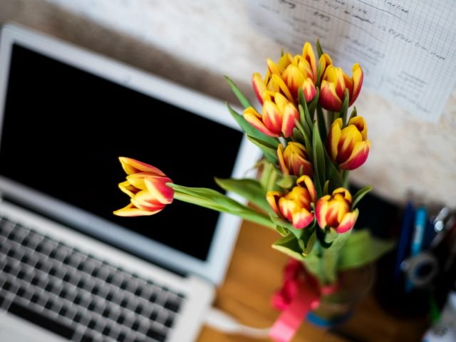 tulips on a desk near a computer