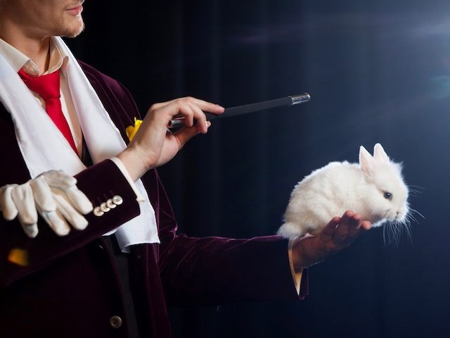 magician with rabbit