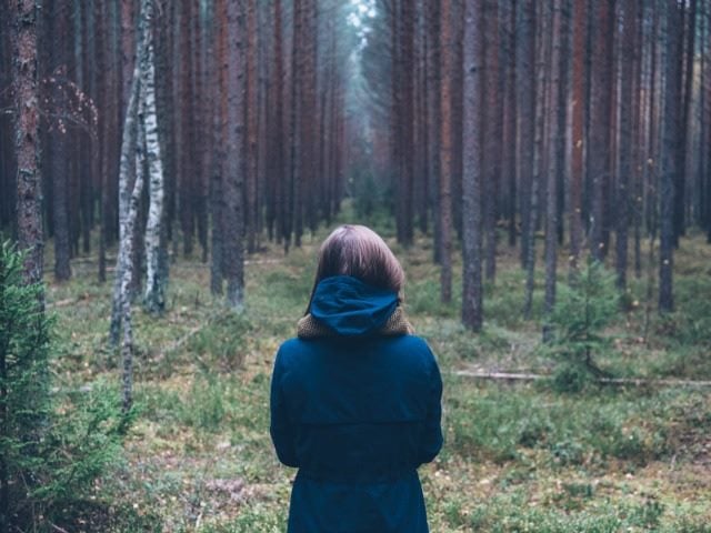 forest or trees?