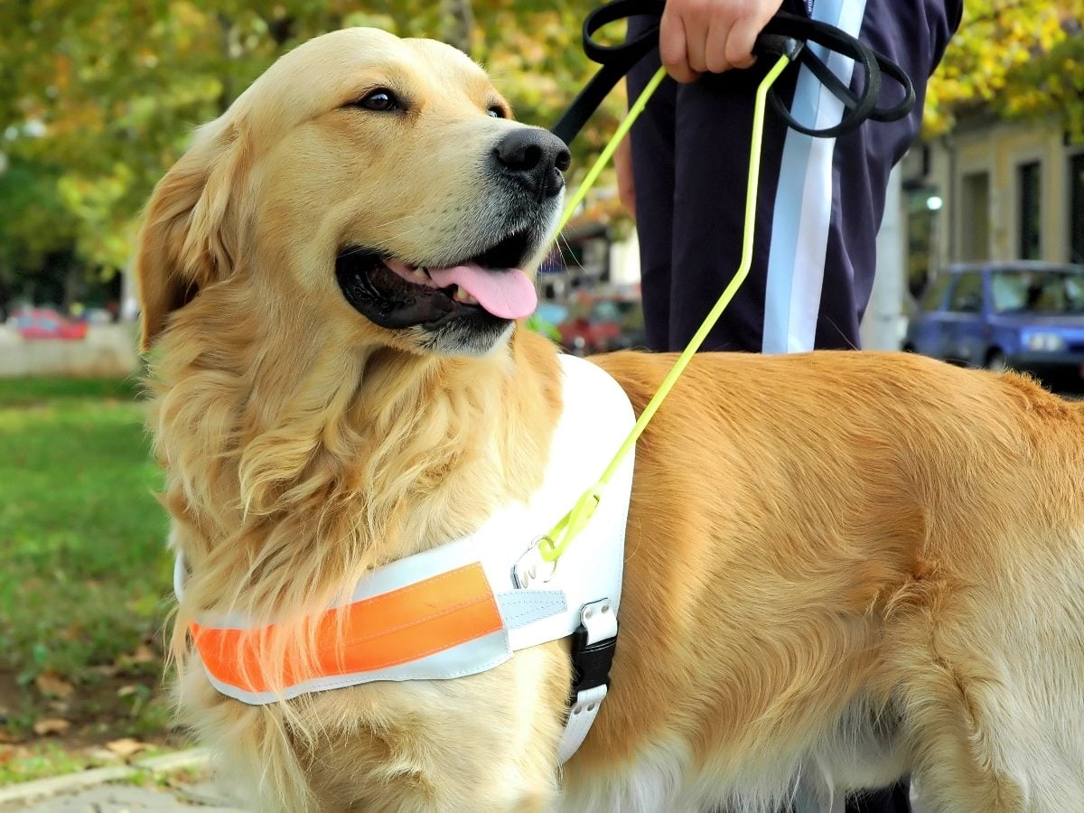 cmswire.com - Scott Clark - What Is a Customer Data Platform (CDP)? 2026 Market Insights