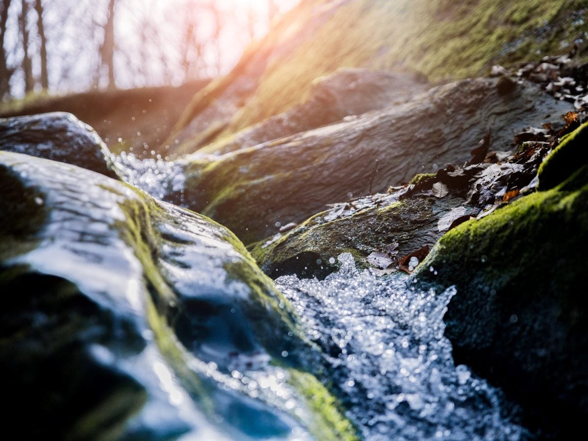 Close-up of a small stream flowing over moss-covered rocks in a forest, with sunlight filtering through trees and water splashing between stones.