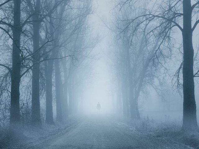 Silhouette of a man on a foggy road flanked by trees.