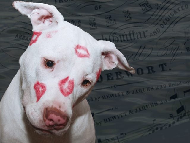 not everyone needs lipstick to look beautiful
