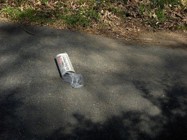 newspaper