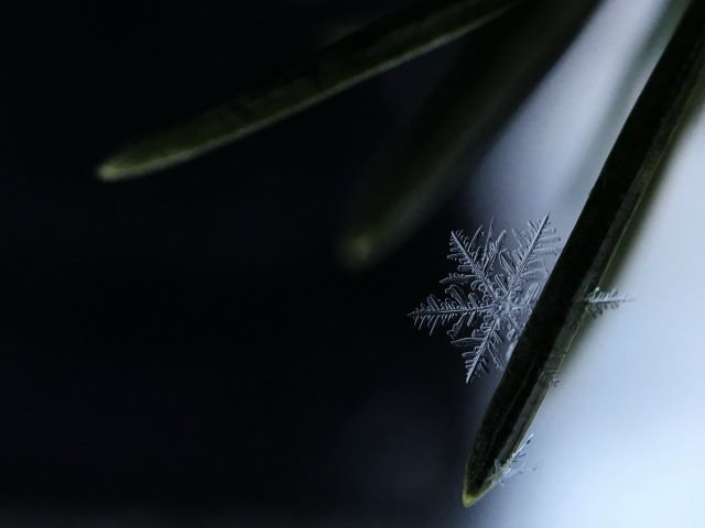 a snowflake