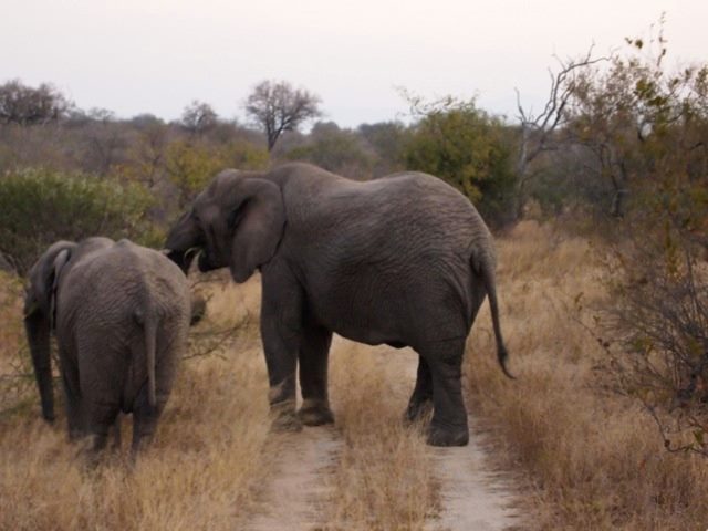 If Hadoop Disappears Will the Label on Your Distro Matter