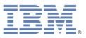 ibmlogo_whitebg_2009.jpg