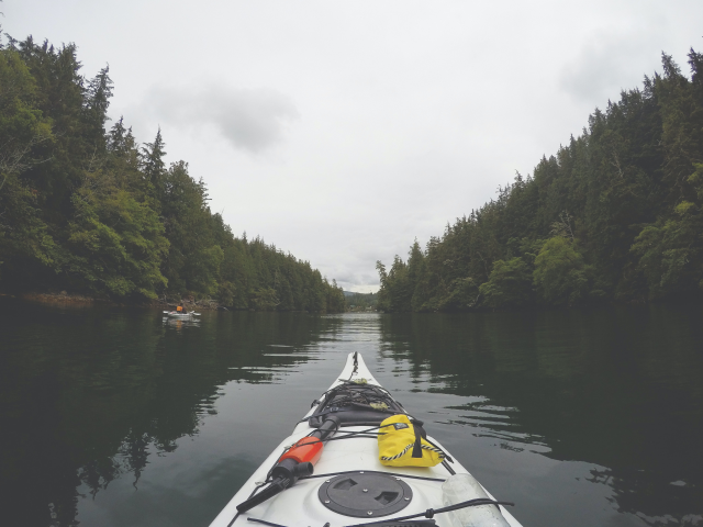 A kayak aimed up river in a forested area
