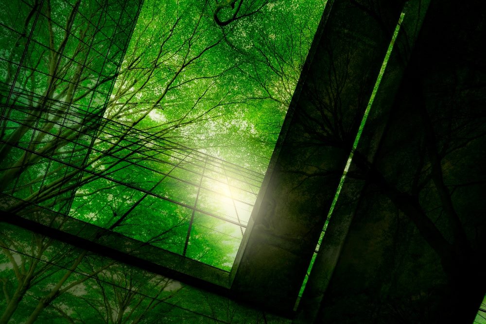 Eco-friendly building in the modern city. Green tree branches with leaves and sustainable glass building for reducing heat and carbon dioxide in piece about sustainable website design.