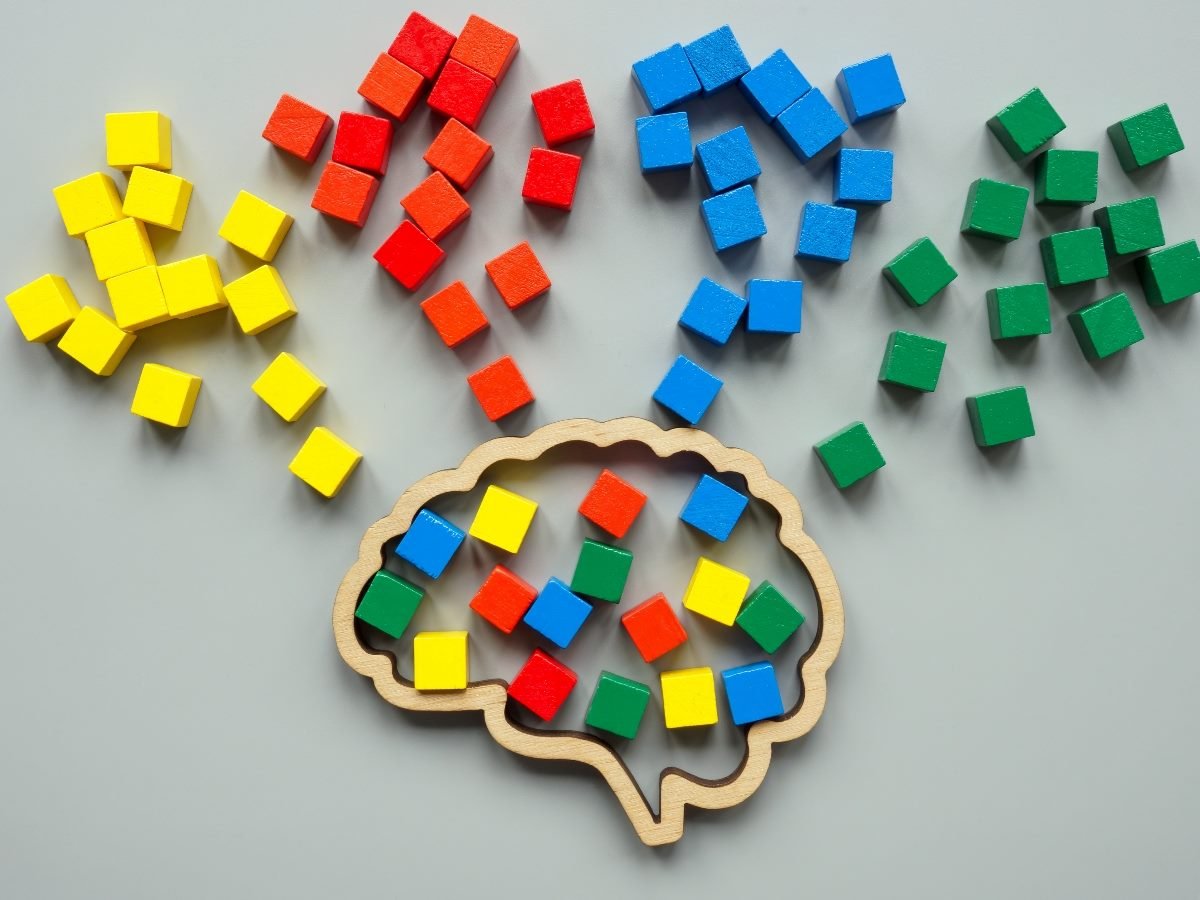 Colored wooden cubes in yellow, red, blue and green scatter into and out of a brain-shaped wooden outline, symbolizing cognitive diversity and different ways of thinking.