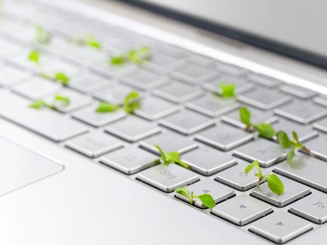 An open silver laptop with green seedling popping up out of the keys. 