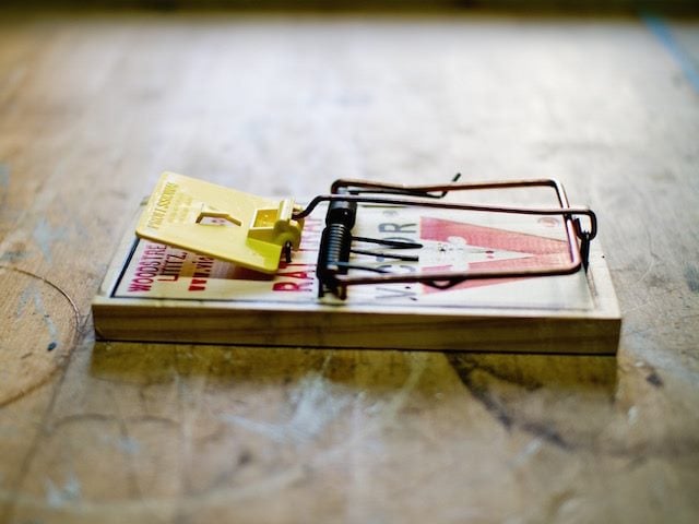 mousetrap