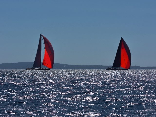  Maxi race with two gennaker sails in the ocean.