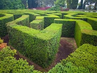 A garden maze in an outdoor park - marketing strategy concept
