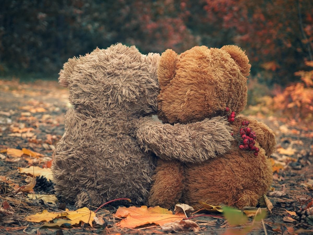 Two plush teddy bears sit side by side on a forest path covered with autumn leaves, embracing each other while facing away from the camera. Warm fall colors, soft lighting and a blurred woodland background create a cozy, affectionate scene that conveys comfort, companionship and emotional connection.