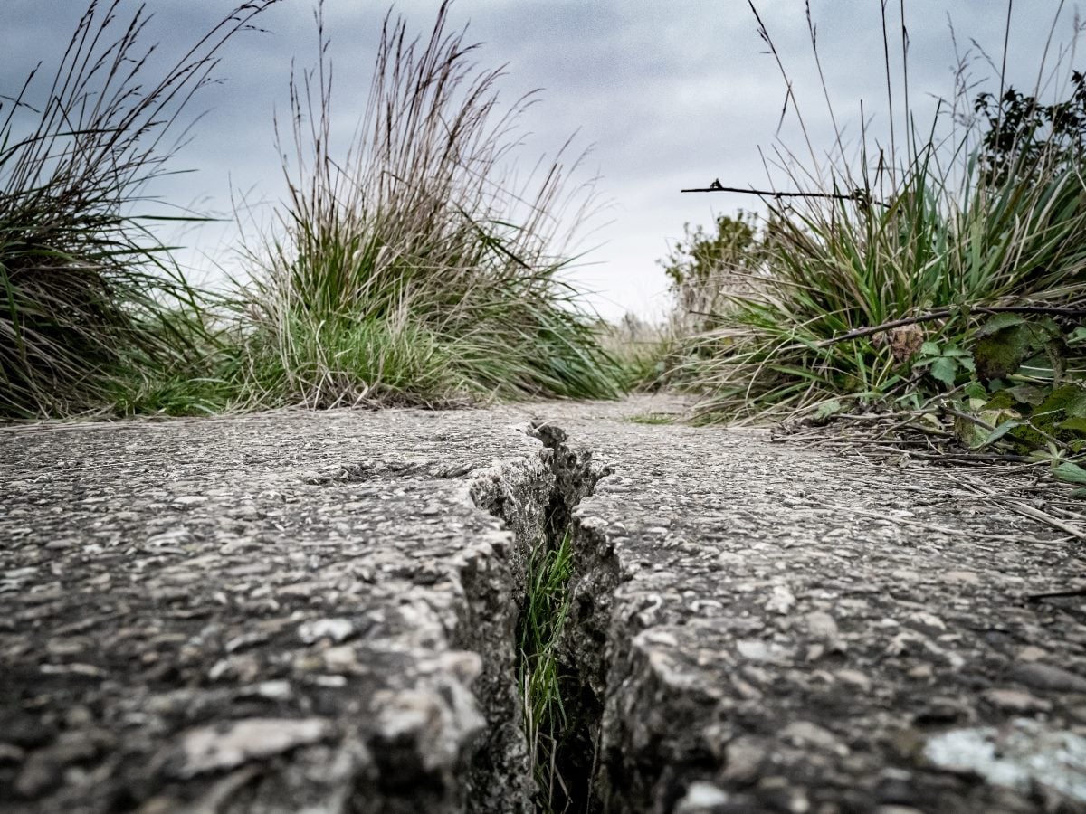 Close-up image of a cracked concrete pathway splitting apart through the center, with grass growing along the separation and tall vegetation lining both sides under an overcast sky.