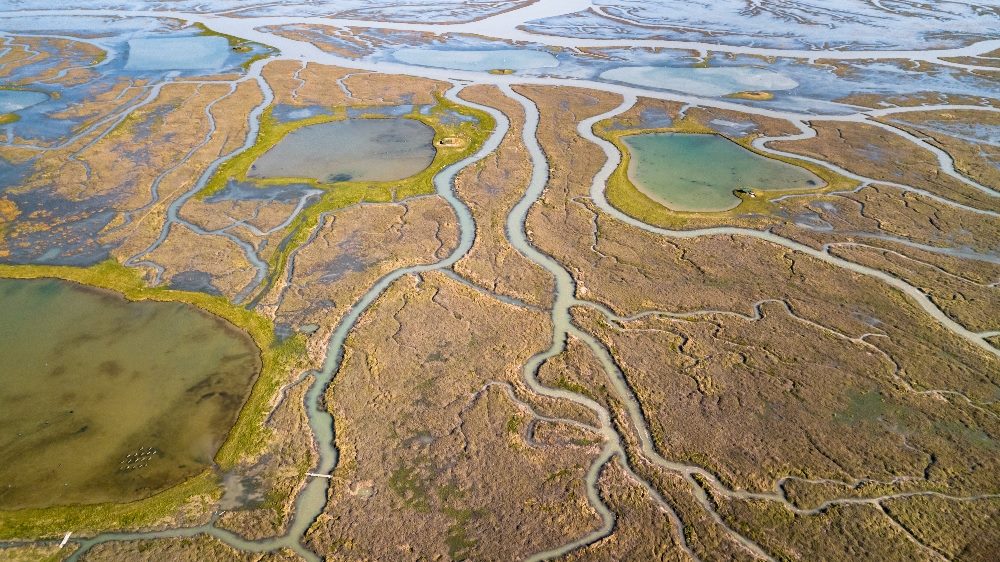 This aerial image shows a river delta with winding waterways flowing through a landscape of wetlands. The intricate patterns of water channels and green vegetation create a mosaic effect, illustrating the natural interconnection of ecosystems in piece about omnichannel engagement.