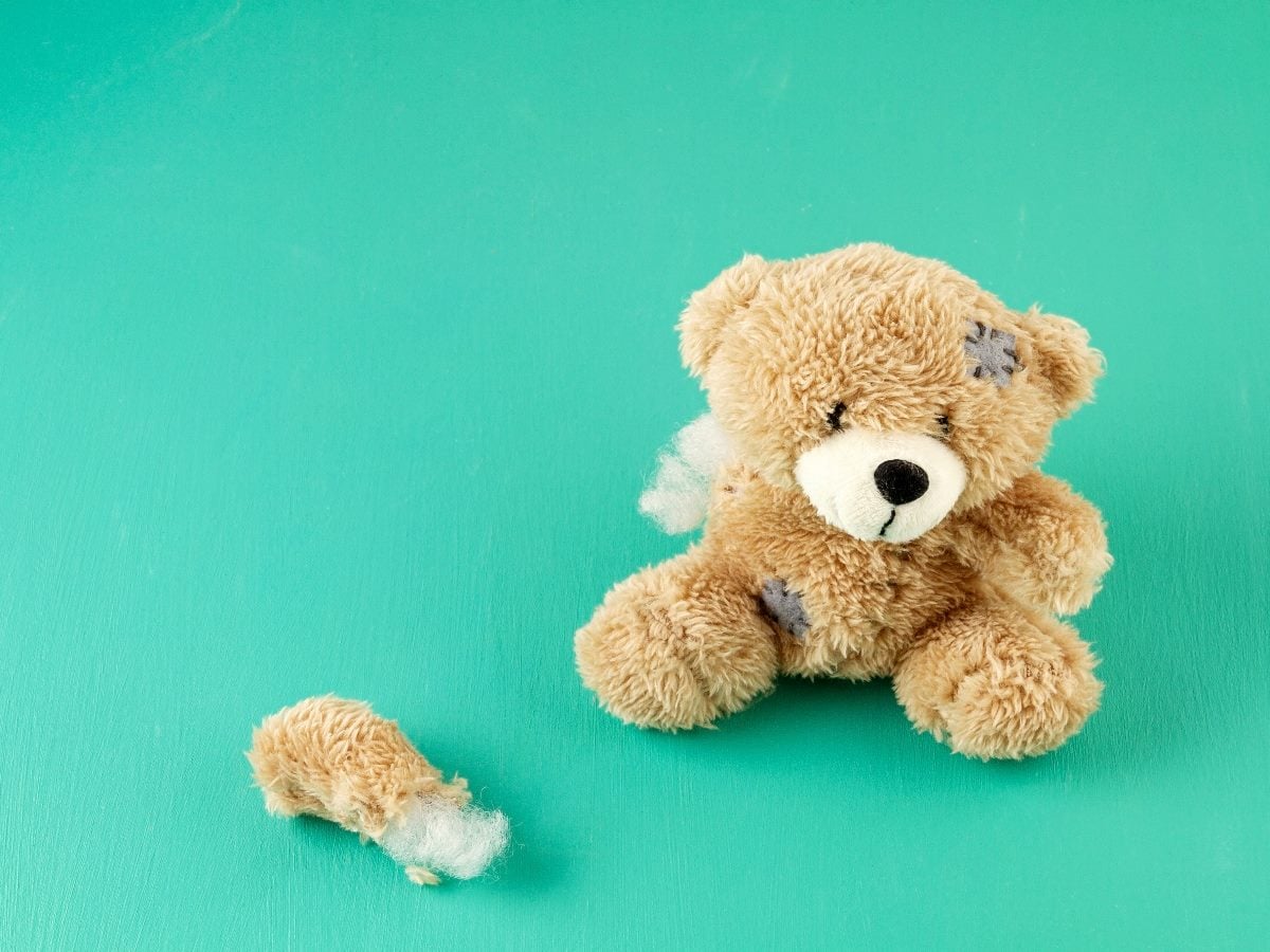 A worn teddy bear with visible patches sits against a teal background, with one detached arm lying nearby, exposing stuffing.