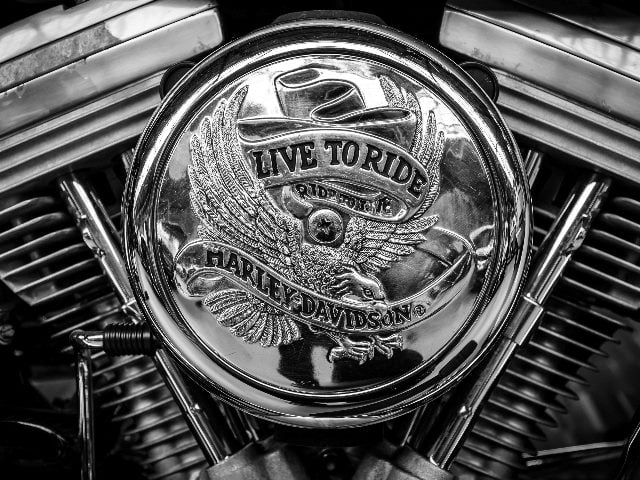 Detail of a Harley-Davidson motorcycle with the slogan Live to Ride, Ride to Live visible in piece about cult brands and DAMs.