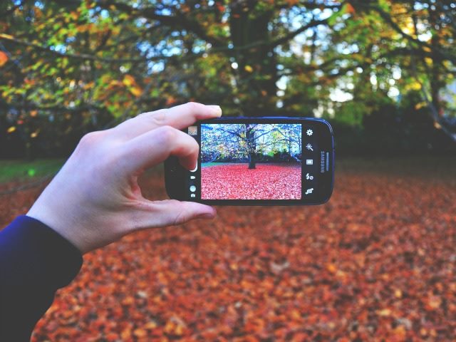 autumn experience