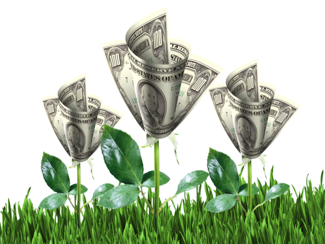Bush of dollar bills on the green grass against the blue sky. Employee Experience Investment Concept