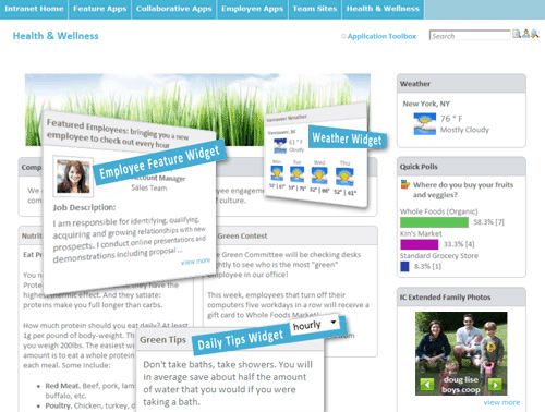 Intranet Connections Widgets
