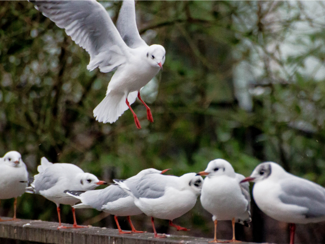 Measuring Community Success More Than Just ROI