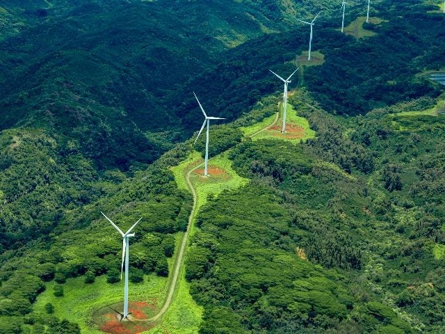 Aerial photo of white windmills in a line on green land leading off into the horizon. 