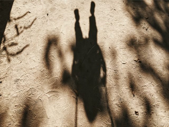 shadow play