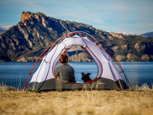 camping scene: sitting in a tent with a pup looking at nature