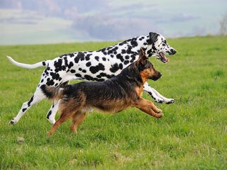 Salesfusion Buy Sets Race for Midmarket Marketing Automation