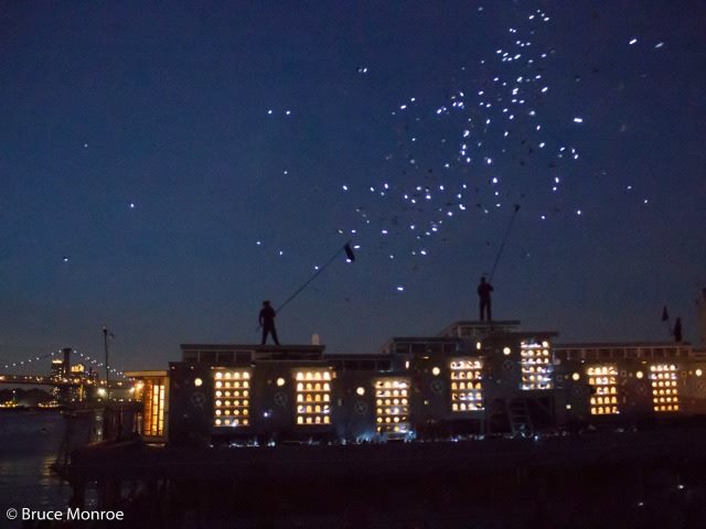 pigeons in flight in Duke Riley's Fly By Night