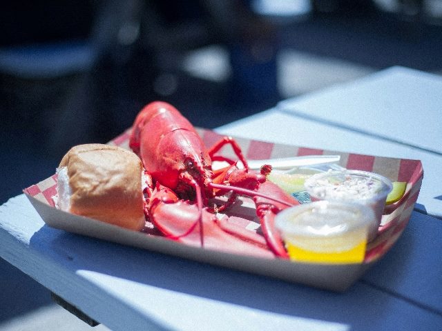Cooked lobster on a tray with some sides.