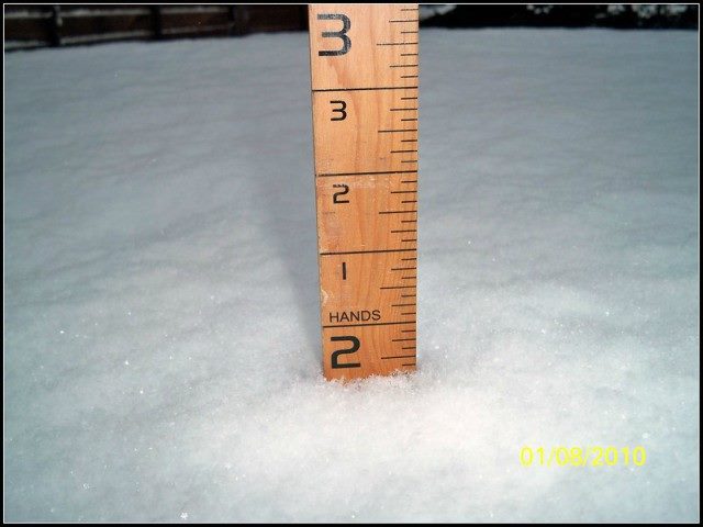 a measuring-stick rule stick in snow, standing upright.