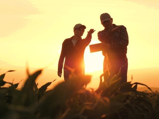 Silhouette of two farmers looking over crops at sunset, representing how B2B data partners can work together.
