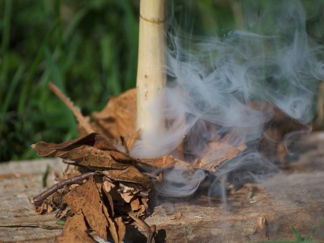 Generating a fire with friction from wood stick on bed of leaves. 