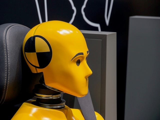 crash test dummy with seat belt on