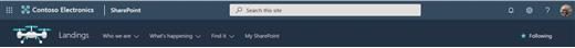 Microsoft Search main search bar