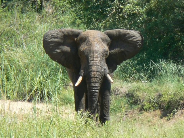 Hortonworks Spreads its Open Source Wings to Bring Governance to Hadoop