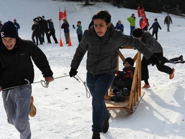 pulling the sled