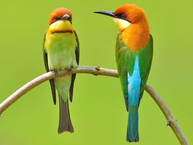 How to Tune Up Your Tweets INBOUND14