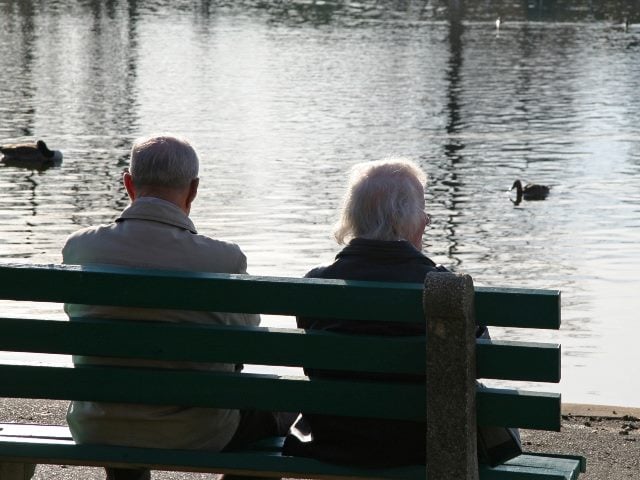 Shot from behind an elderly man and a woman sitting on a bench watching ducks on a pond.