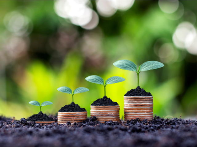 Plants growing on top of a pile of quarters in an outdoor wooded background investment concept