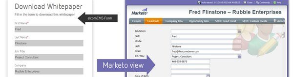 customer experience, ElcomCMS 9 Weaves Marketing Automation, CRM into Web CMS Platform