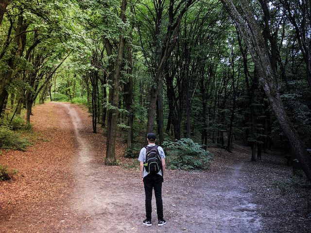 man standing in front of two paths diverging in the woods