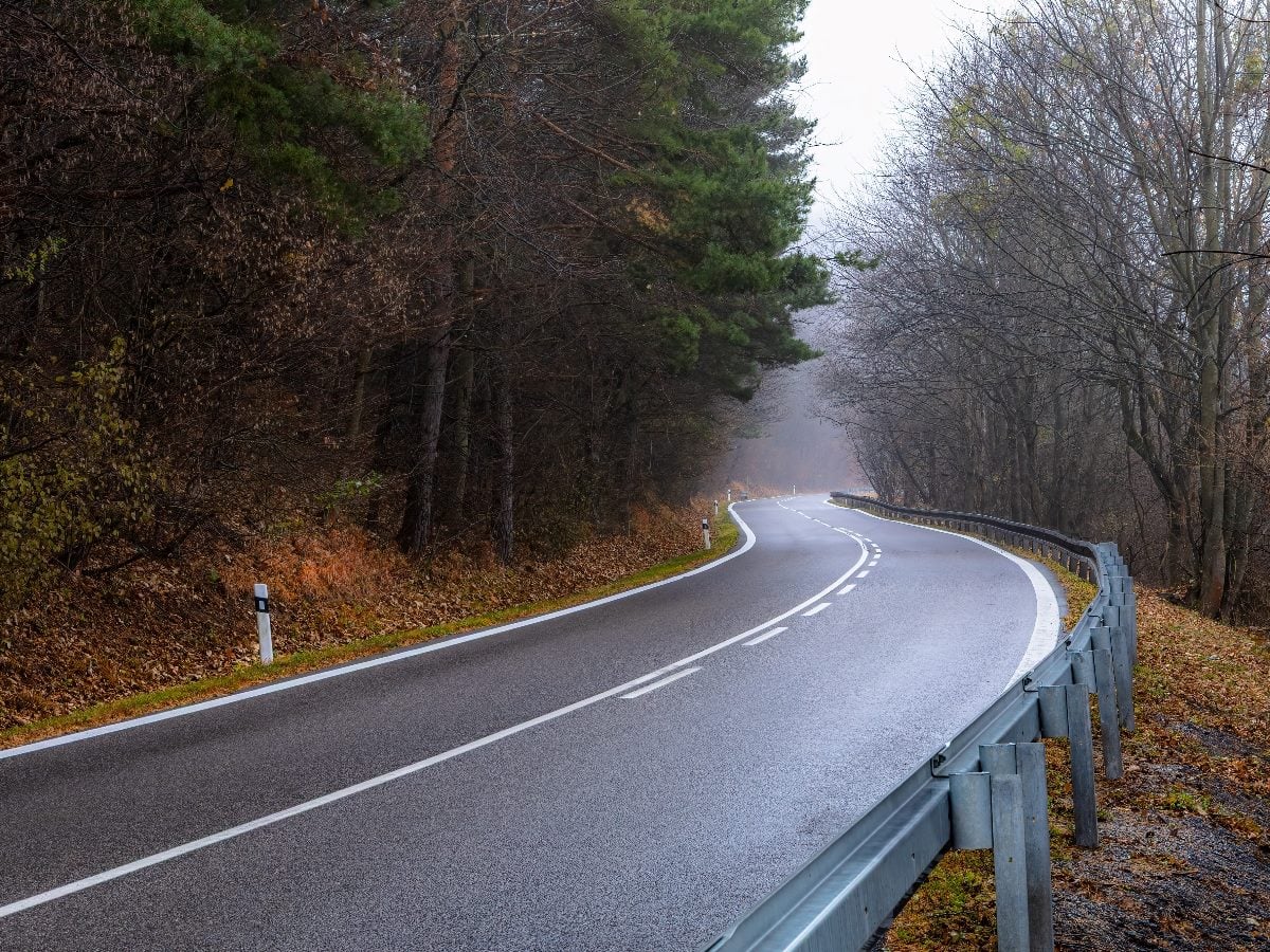 A winding two-lane road curves through a forested landscape on a damp, overcast day. Metal guardrails line the right side of the roadway, while bare deciduous trees and evergreen pines frame both sides of the route as it disappears into the distance.